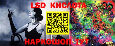 шишки Донецк