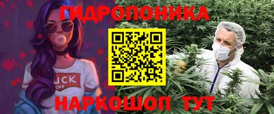 mdpv Дубна