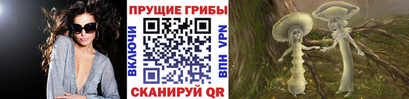 дарк нет клад  мега ТОР  Набережные Челны  Галлюциногенные грибы MAGIC MUSHROOMS 