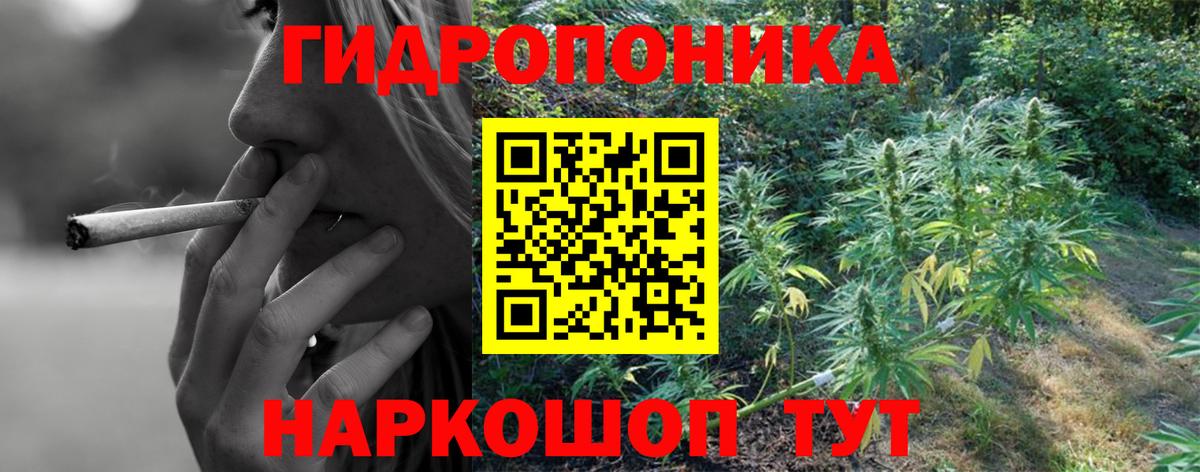 Марихуана OG Kush  Канабис семена  Вход с VPN  Бошки марихуана тримм  Набережные Челны 